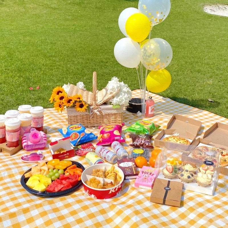 Esterilla de picnic extra gran - Outdoor Camping Mat Waterproof reseña y precio