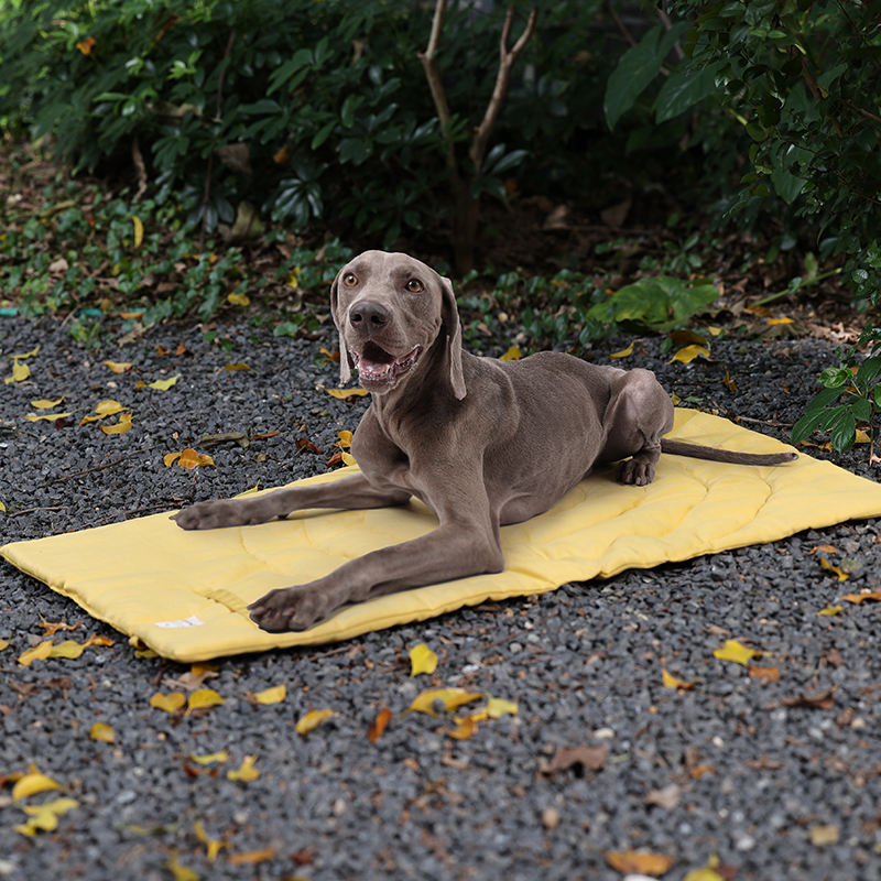 Alfombrilla portátil plegable  - Outdoor Camping Rug Waterproof reseña y precio